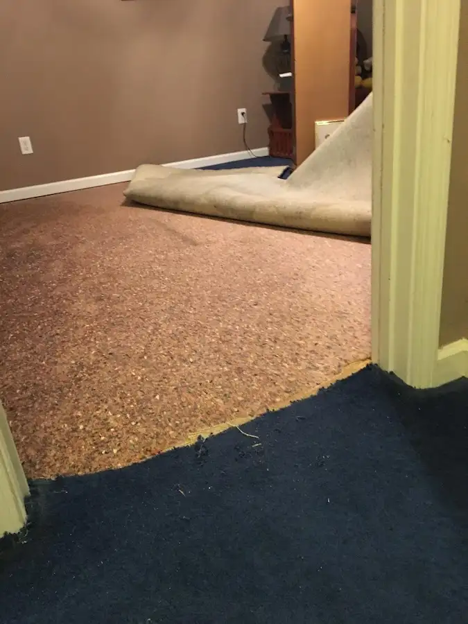 Carpet pad removal revealing water damage during Water Mitigation Services in East Peoria