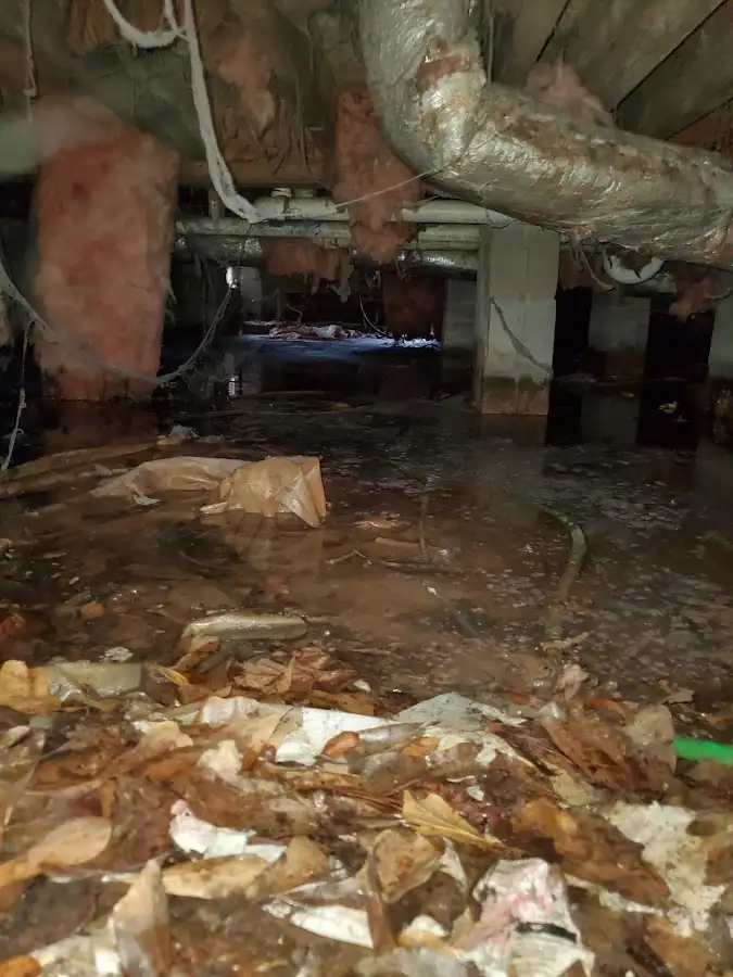 Crawl space flood assessment for Leak Detection & Repair in East Peoria